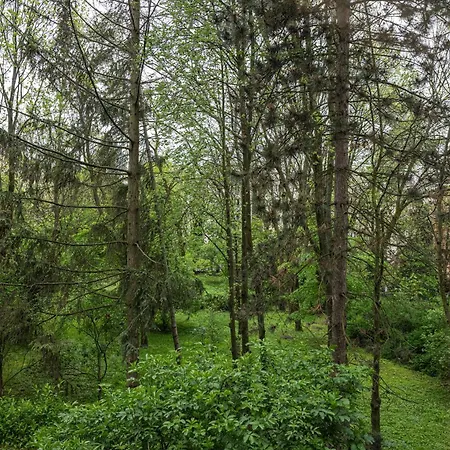 Apartamento Parkowy Ul. Raclawicka *