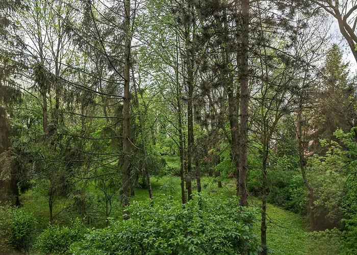 Appartement Parkowy Ul. Raclawicka *